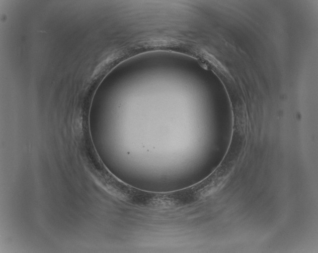 X0000072550207200607211407