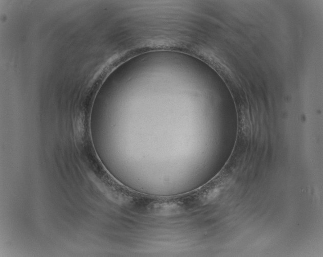 X0000072550208200607211407