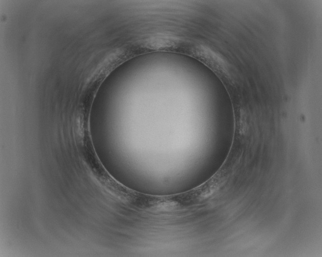 X0000072550210200607211407