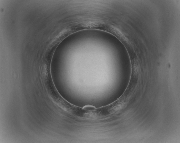 X0000072550211200607211407