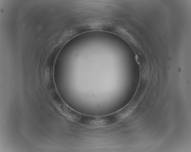 X0000072550213200607211407