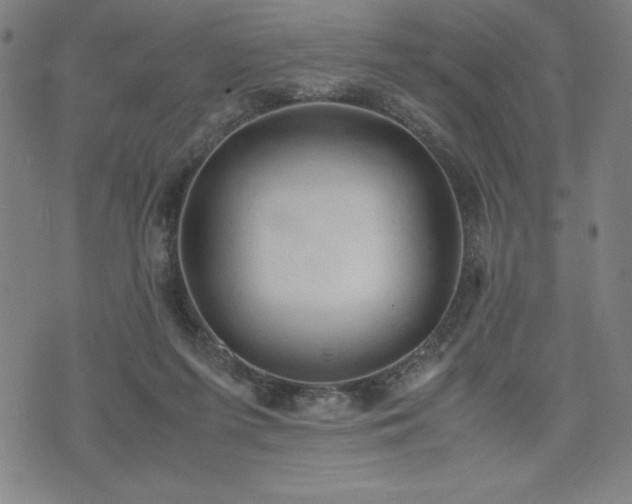 X0000072550215200607211407