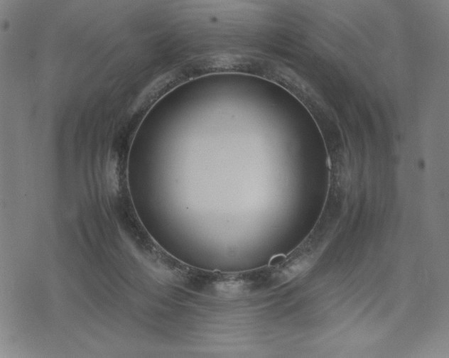 X0000072550216200607211407