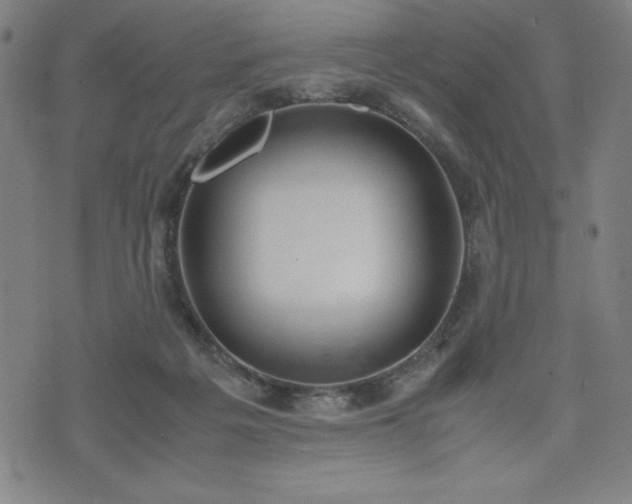 X0000072550217200607211407