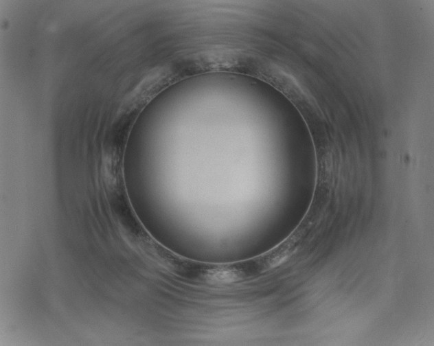 X0000072550218200607211407