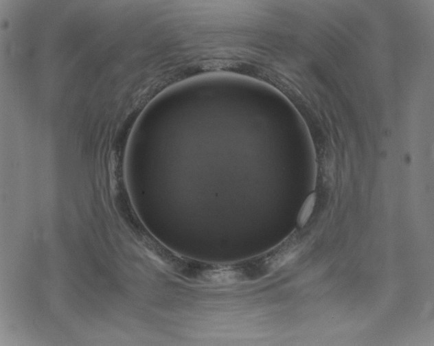 X0000072550219200607211407