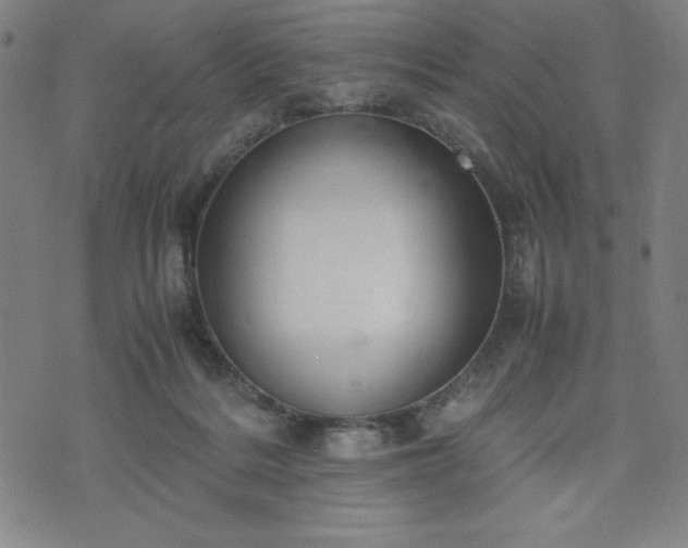 X0000072550220200607211407