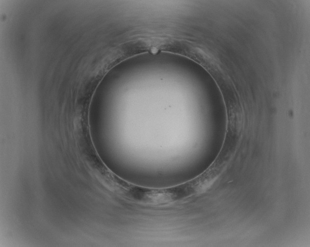 X0000072550221200607211407