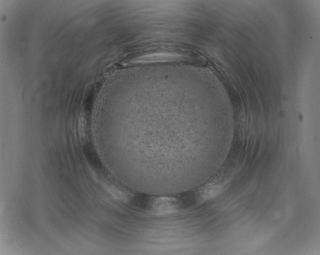 X0000072550222200607211407