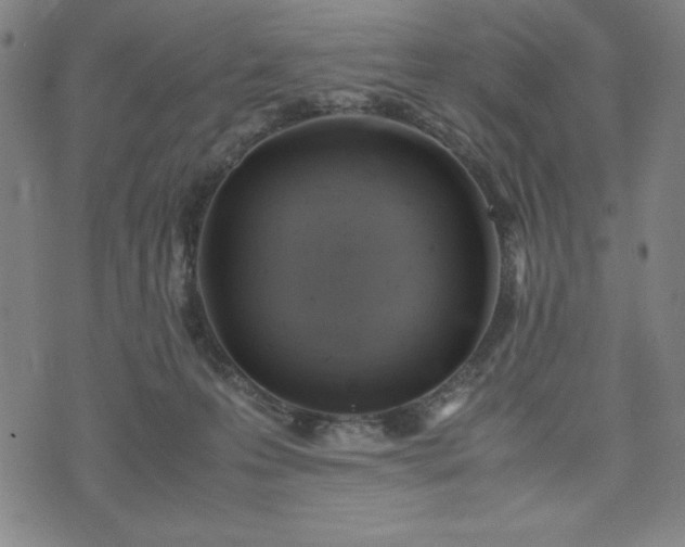 X0000072550223200607211407