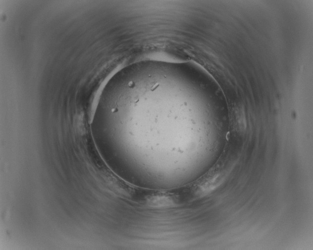 X0000072550224200607211407