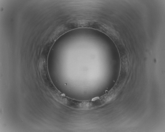 X0000072550225200607211407