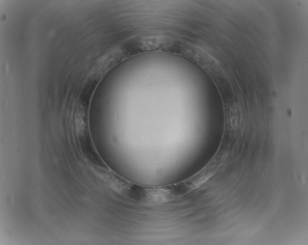 X0000072550226200607211407