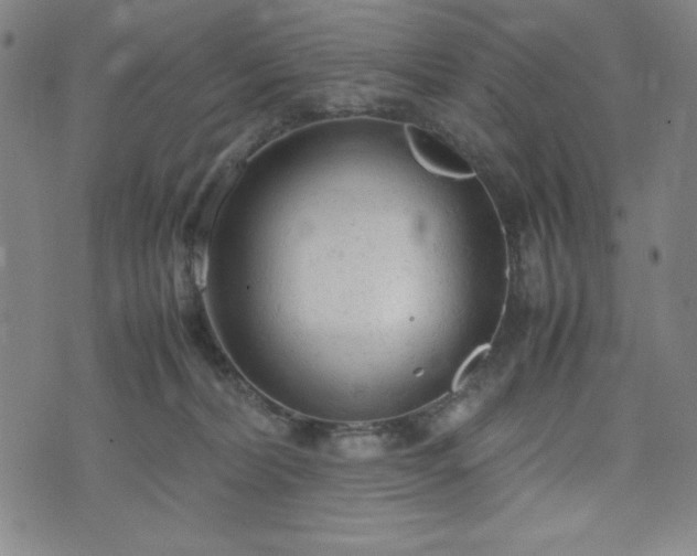 X0000072550228200607211407