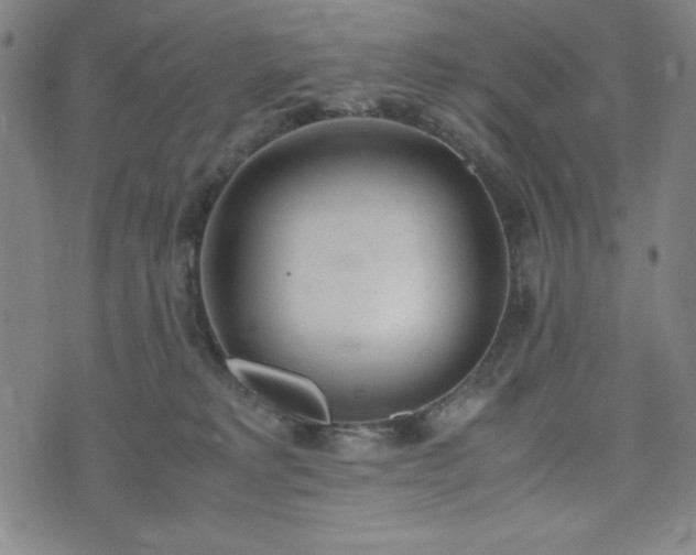 X0000072550229200607211407