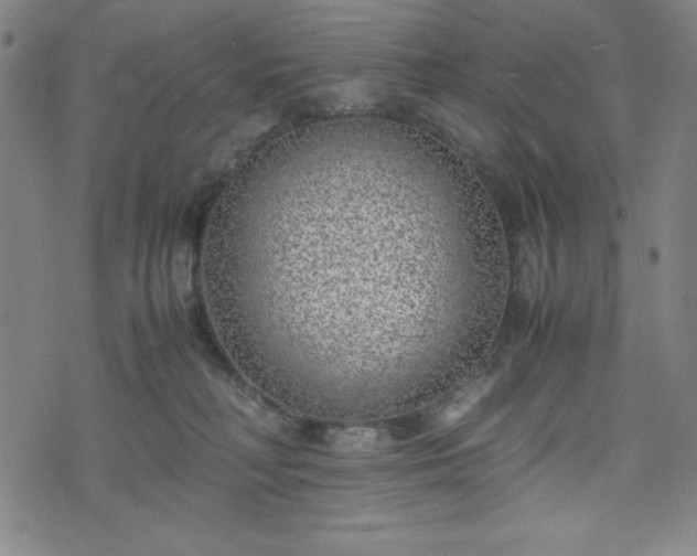 X0000072550230200607211407