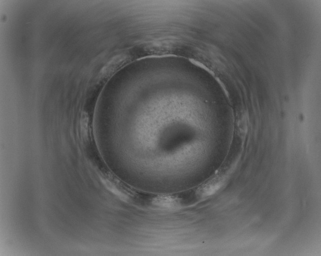 X0000072550231200607211407