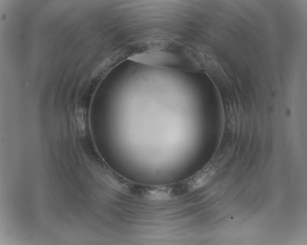 X0000072550232200607211407