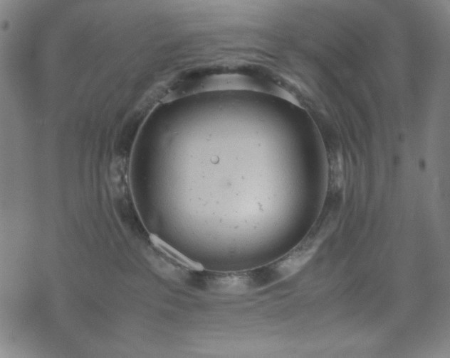 X0000072550237200607211407