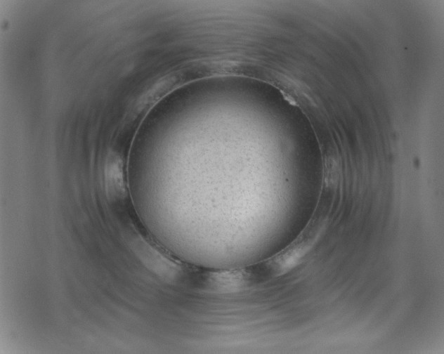 X0000072550238200607211407