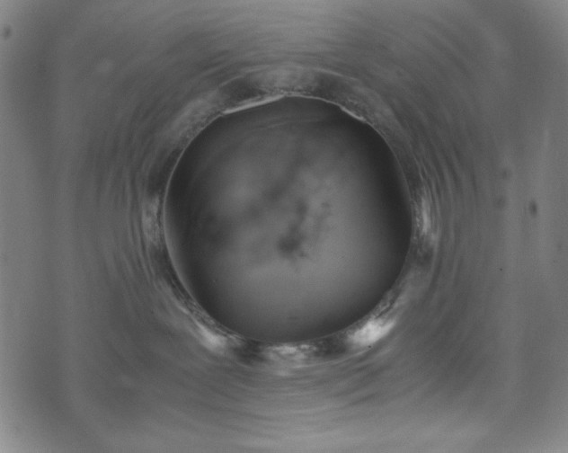 X0000072550239200607211407