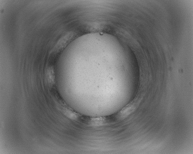 X0000072550240200607211407