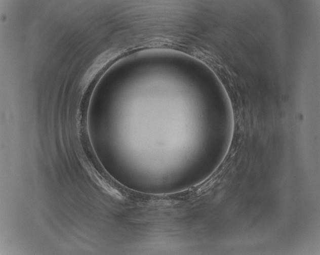 X0000072550242200607211406