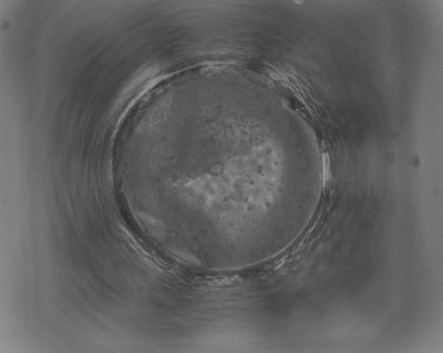 X0000072550243200607211406