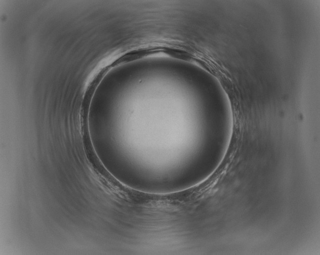 X0000072550244200607211406