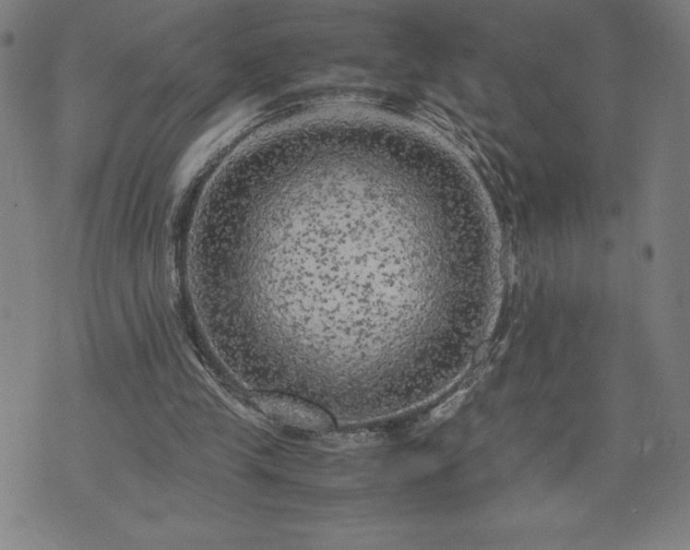 X0000072550245200607211406