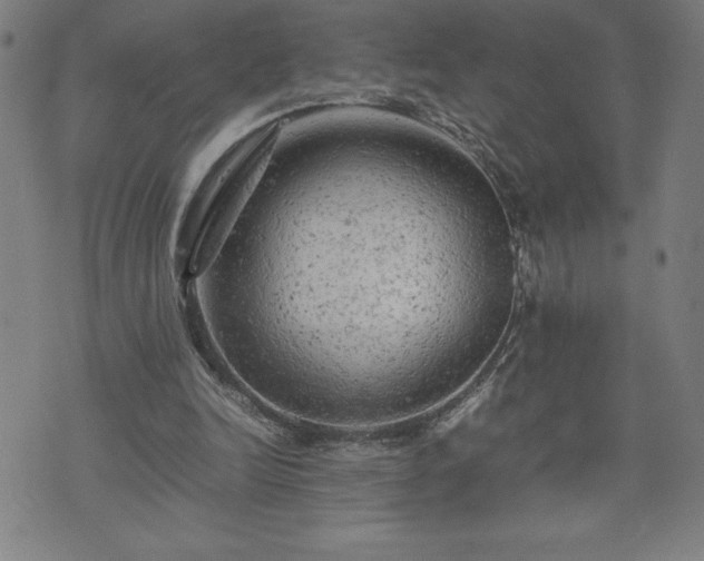 X0000072550246200607211406