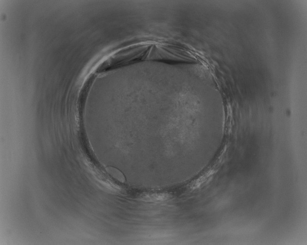 X0000072550247200607211406