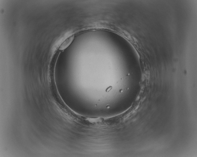 X0000072550248200607211406