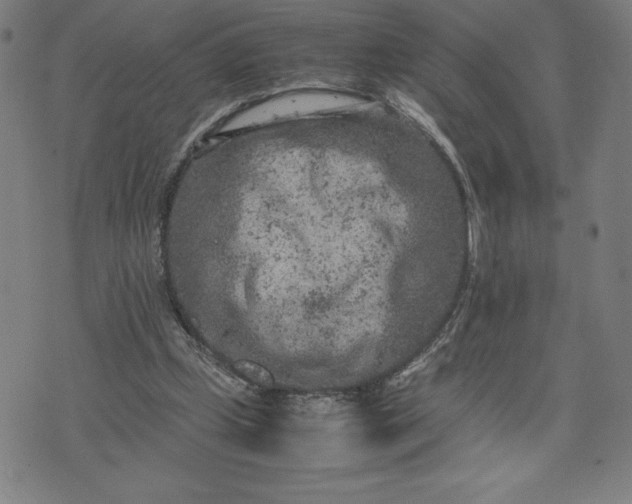 X0000072550249200607211406