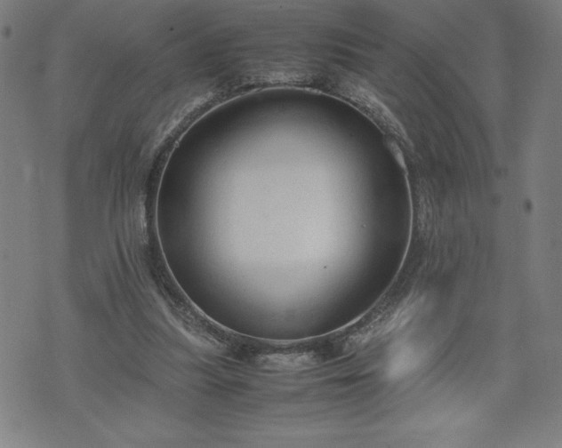 X0000072550251200607211406