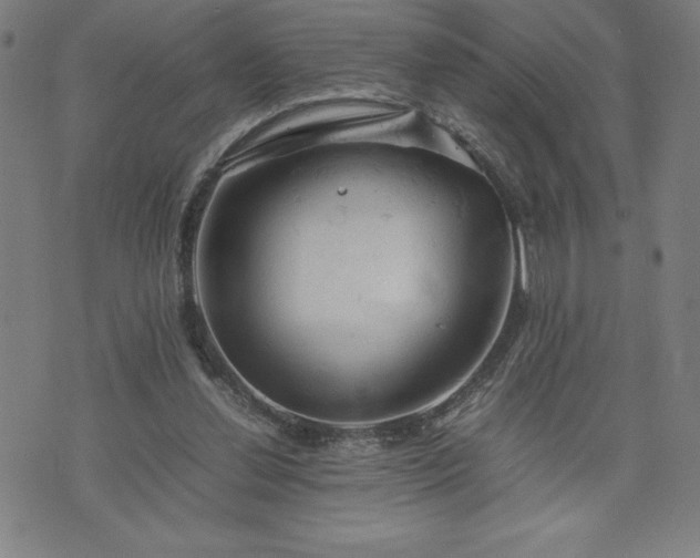 X0000072550252200607211406