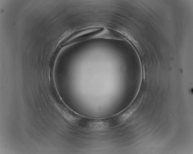 X0000072550253200607211406