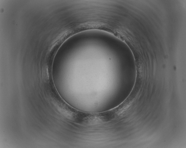 X0000072550254200607211406