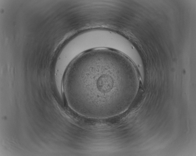 X0000072550256200607211406