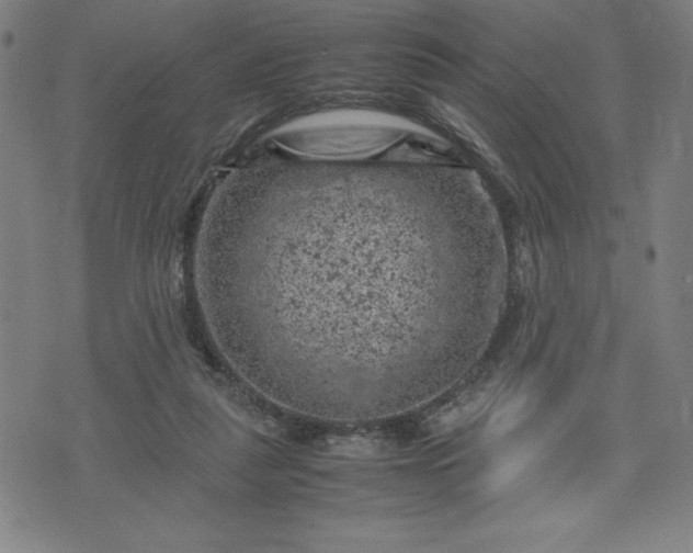 X0000072550259200607211406