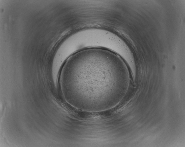 X0000072550260200607211406