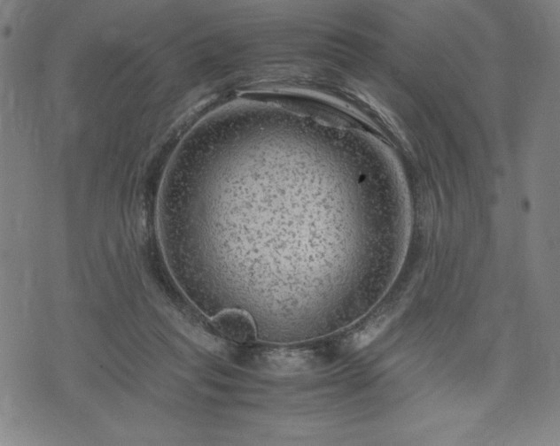 X0000072550261200607211406