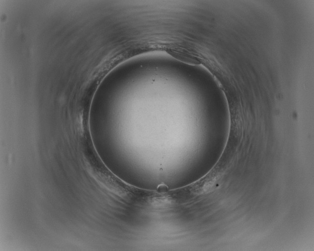 X0000072550262200607211406