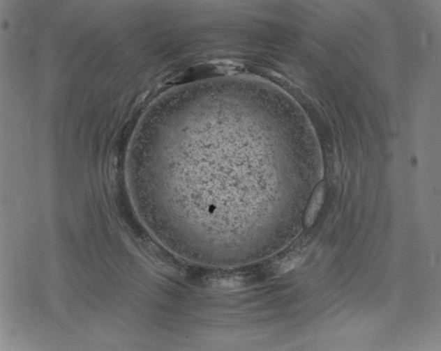 X0000072550263200607211406