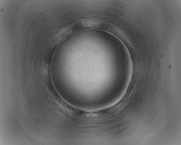 X0000072550265200607211406