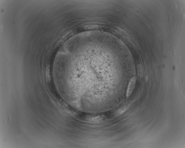 X0000072550267200607211406