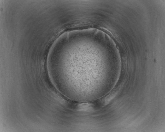 X0000072550269200607211406