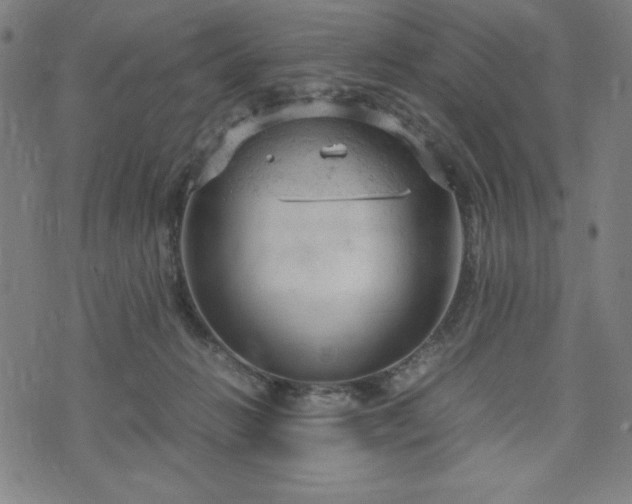 X0000072550270200607211406