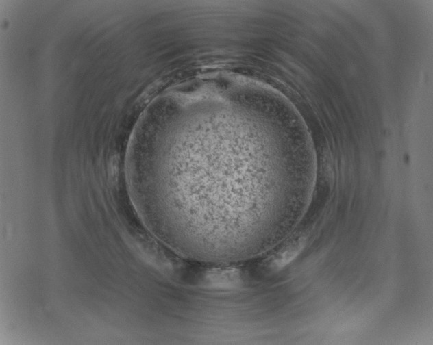 X0000072550271200607211406