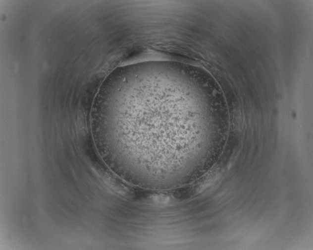 X0000072550272200607211406